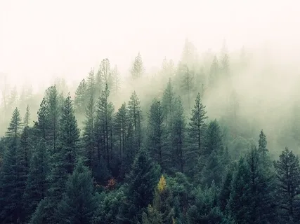 Square Breath For Stress Relief