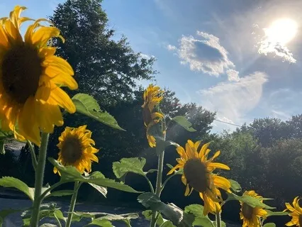 Square Breathing Technique