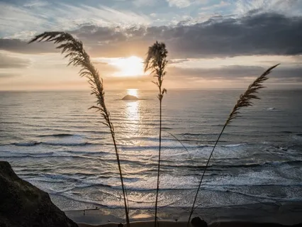 Square Pattern Breathwork