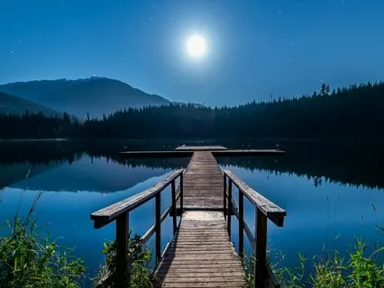 SRS Session 6 | Freedom