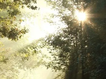 St. Francis Gayatri: Earth Chant