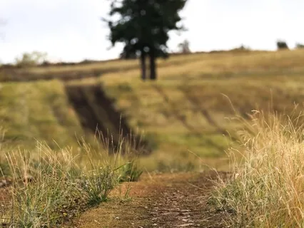 Stability & Groundedness