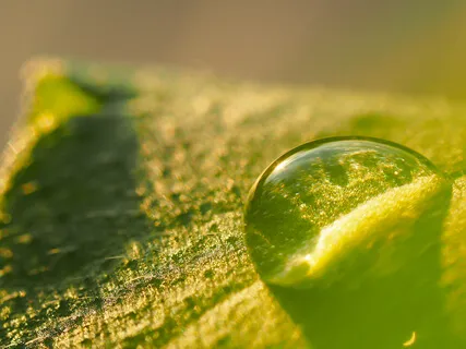 Stability & Stillness 