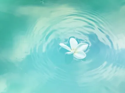 Stående Yoga (30 Minutes)