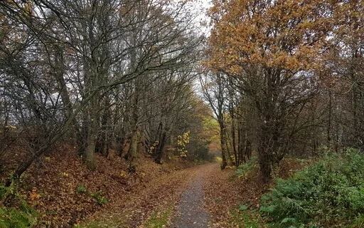 Stairs To The Inside