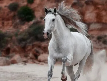 Build Resilience & Better Stamina | Mini Breath Practice