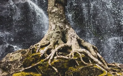 Stand In Your Center Of Gravity