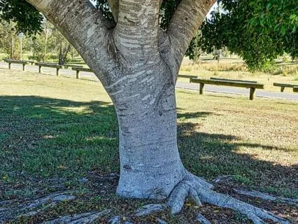 Breaking People Pleasing Patterns