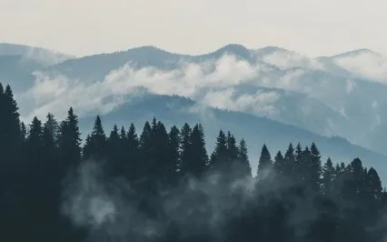 Standing Alone Is Shedding All The Burdens To Be Practical