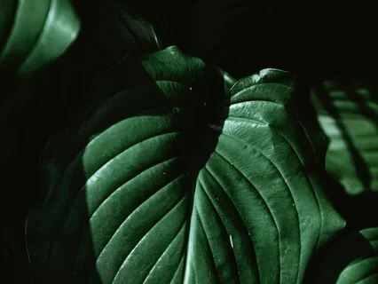 Standing Deep Breathing