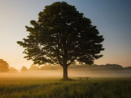 Standing Grounding Practice