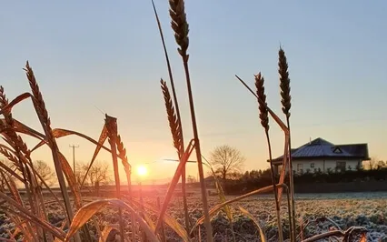 Standing In This Life As A Light Being - Unconditional Love