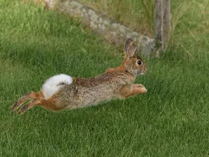Standing Meditation To Awaken Your Body For Spring