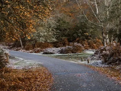 Standing Meditation To Feel More Grounded