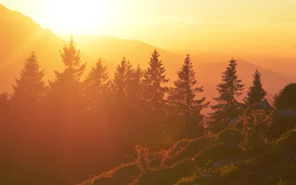 Standing Morning Yoga Stretch & Flow 