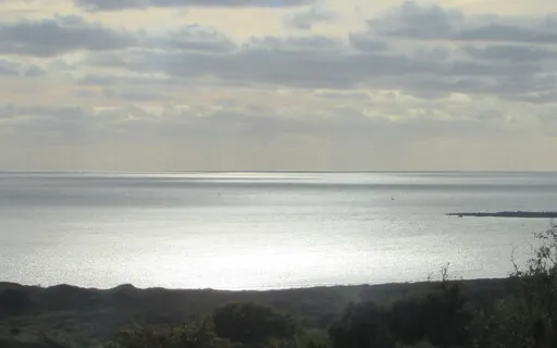 Standing On The Shore