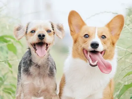 Standing: Shaking Off All You Don’t Need: Let Go