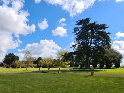 Standing Tree Meditation