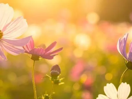 Standing Up For Yourself - Grounding Meditation