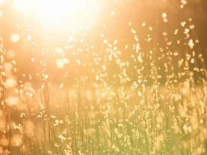 Star Breath Restorative Meditation