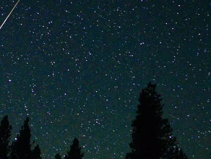 Star-Dusted Branches