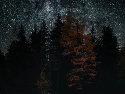 Star Light Meditation To Connect With Your Magnificence