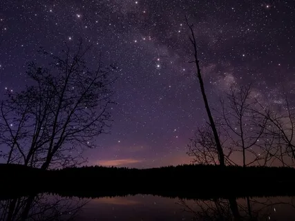 Starlight And Stardust