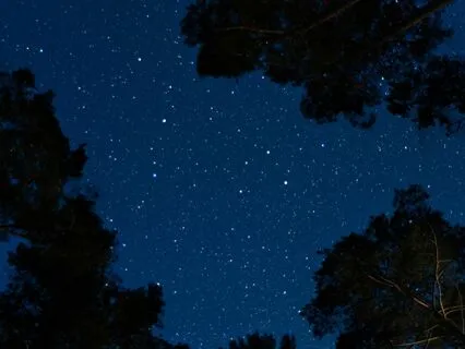 Starlight Sleep Meditation