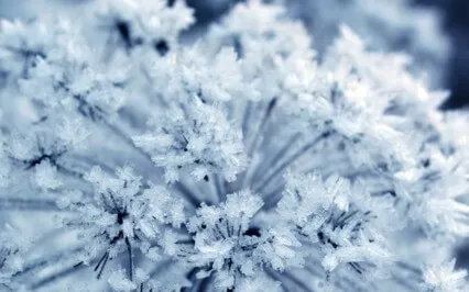 Starlight Yoga Nidra