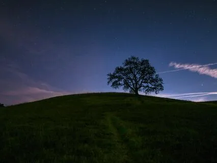 Starlit Dreams: Relaxing Music For A Quiet Night