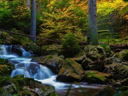 Starlit Dreamscape - Nighttime Restorative Meditations