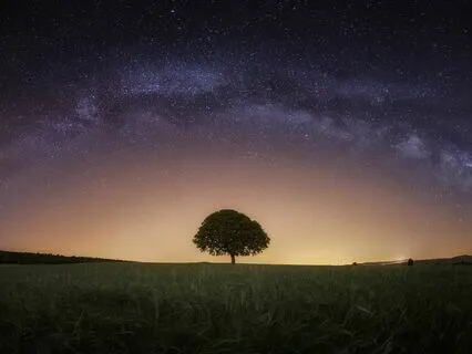 Starlit Serenity: Calm Your Mind