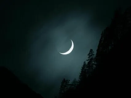 Starry Calm: Drift Into Serenity