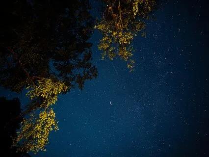 Starry Souls | Calming, Reflective Piano LoFi Beats