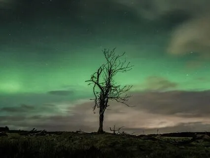 Stars & Silence - Sense Of Relaxation