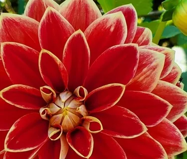 Start Fresh Anytime (Short Guided Meditation)