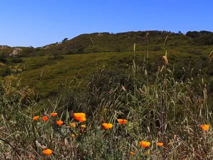 Start Fresh Meditation | Create Space For What's Next