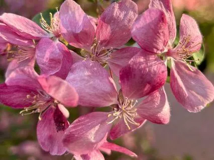 Start Here: 5-Minute Breath Meditation