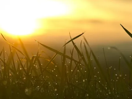 Start Of The Day - Mini Meditations