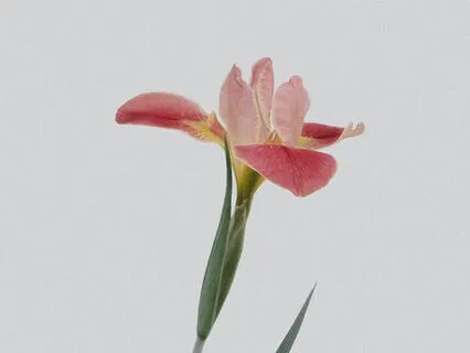 Start Slow | Sense-Based Mindful Meditation | 19 Minutes