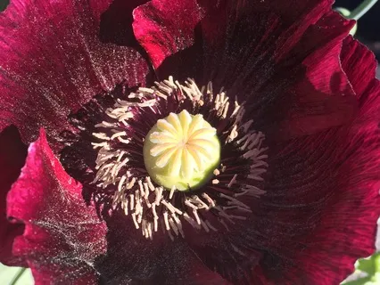 Start The Day Inspired & Grounded