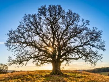 Start Where You Are: Beginner-Friendly Mindfulness
