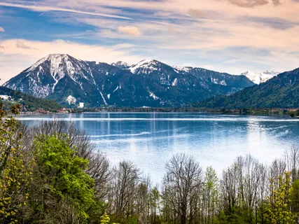 Start With Good Will