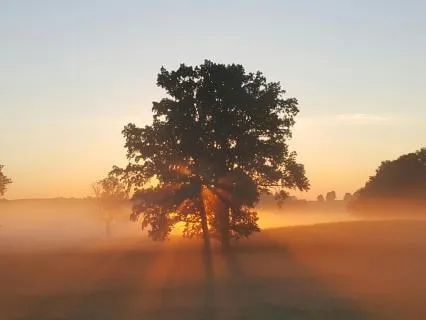 Start Your Day Calm And Grounded