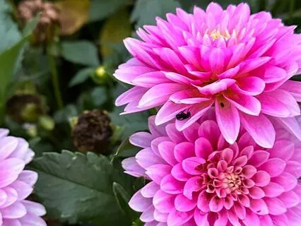 Start Your Day Relaxed In Just 5 Minutes