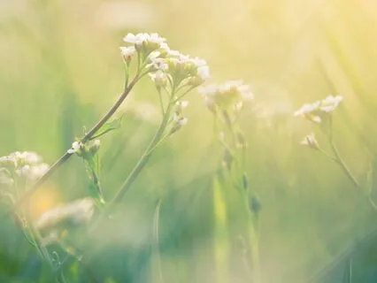 Start Your Day Right: Morning Meditation