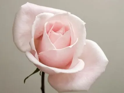 Start Your Day With A Heart Full Of Gratitude