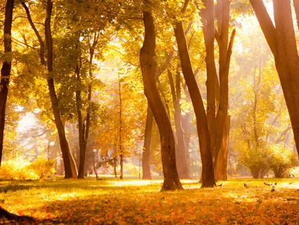 Morning Meditation: Start Your Day With A Smile