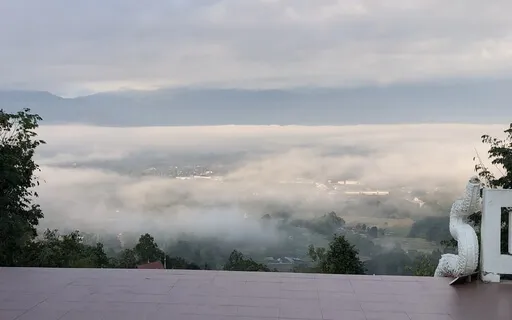 Start Your Day With Balancing Affirmations Inspired By Oak