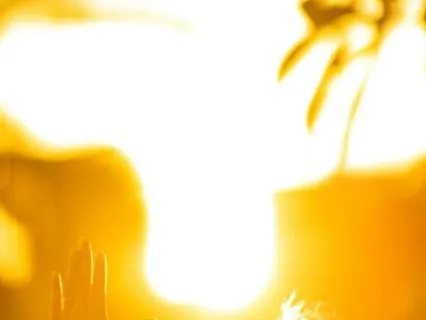 Start Your Day With Calm | A Morning Grounding Practice